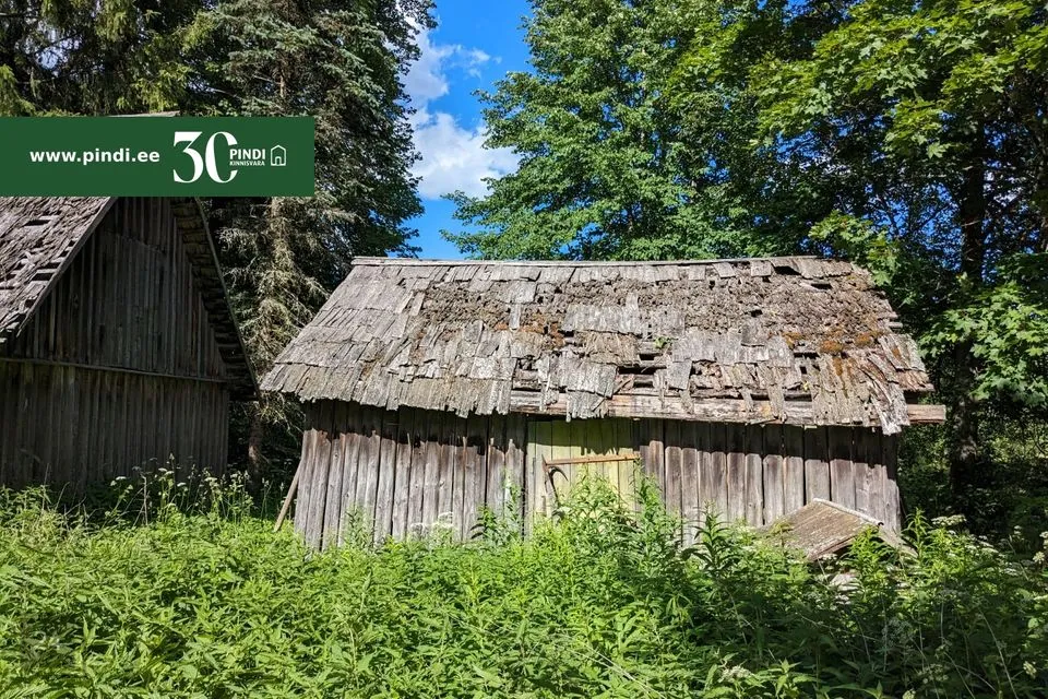 1-toaline Maja  -  Peipsiääre vald, Koosa küla - foto 3