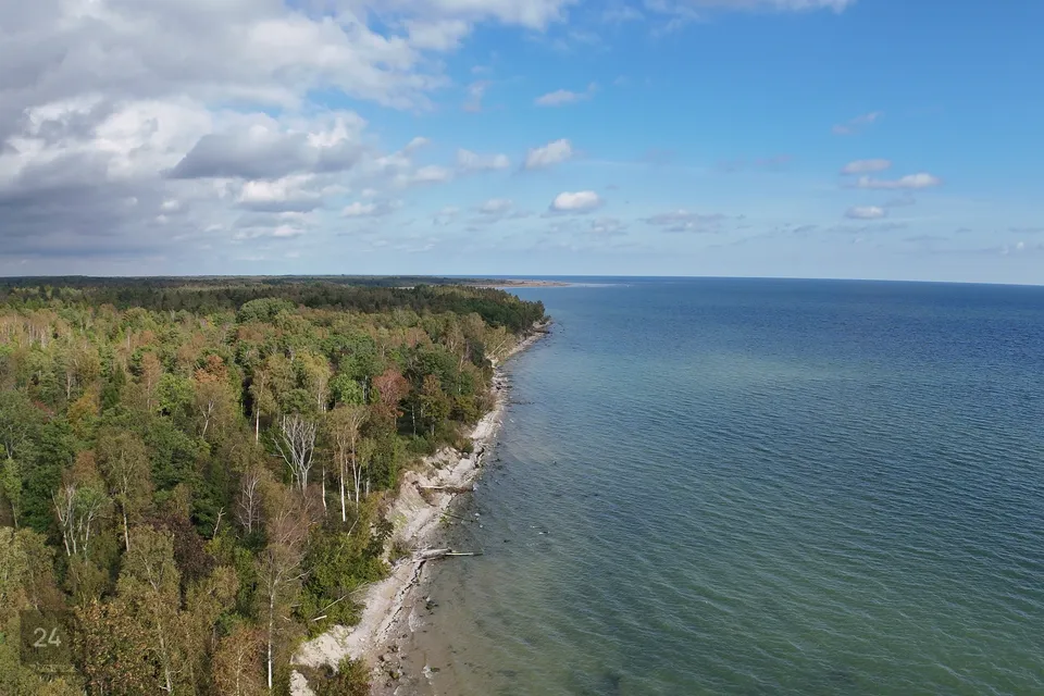 Elamumaa, 12034 m² Maa  -  Saaremaa vald, Mõntu küla