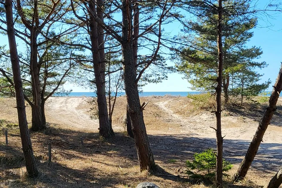 Maatulundusmaa, 33534 m² Maa - Lääne-Nigula vald, Elbiku küla / Ölbäck - foto 2