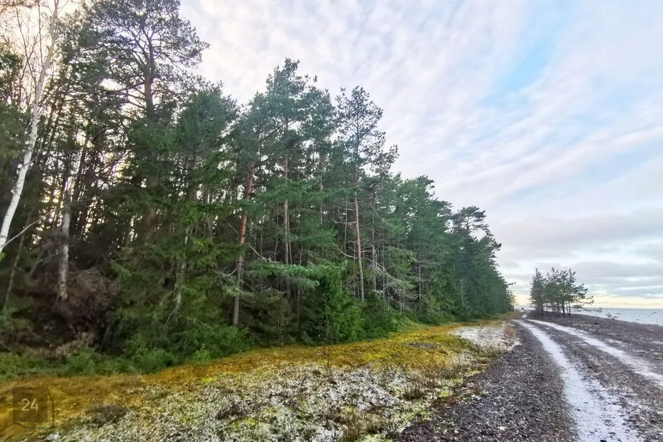 Elamumaa, 12495 m² Maa  -  Lääne-Harju vald, Keibu küla