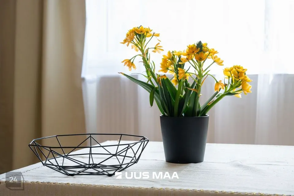 4-toaline Maja  -  Tallinn, Haabersti linnaosa - foto 2