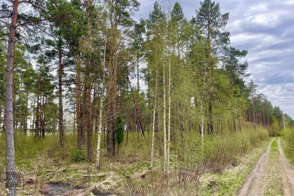 Maatulundusmaa, 29000 m² участок в Saaremaa vald, Parila küla - фото 3