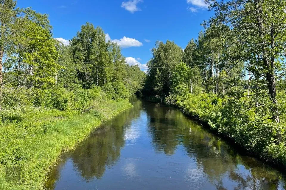 Maatulundusmaa, 38074 m² Maa  -  Järva vald, Jõeküla - foto 4