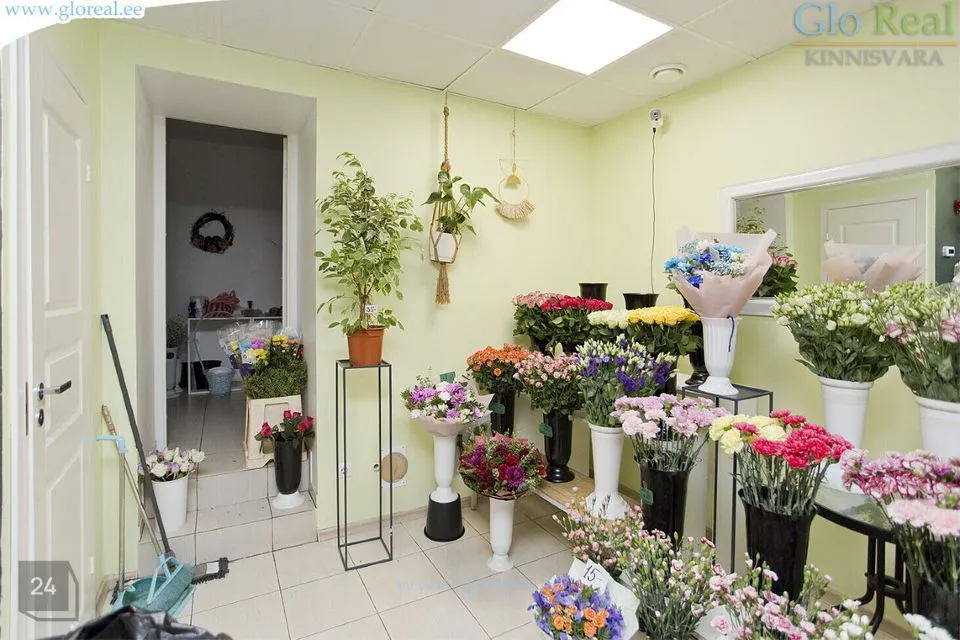Mitme sihtotstarbega, 32 m² Äripind  -  Tallinn, Lasnamäe linnaosa - foto 4