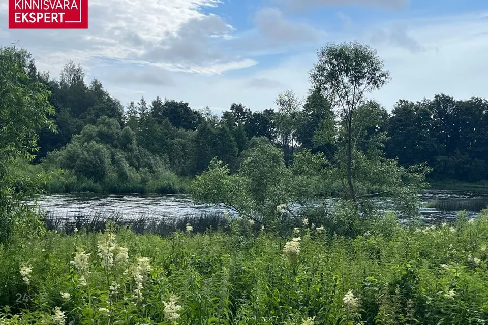 Maatulundusmaa, 14847 m² Maa - Tori vald, Rütavere küla