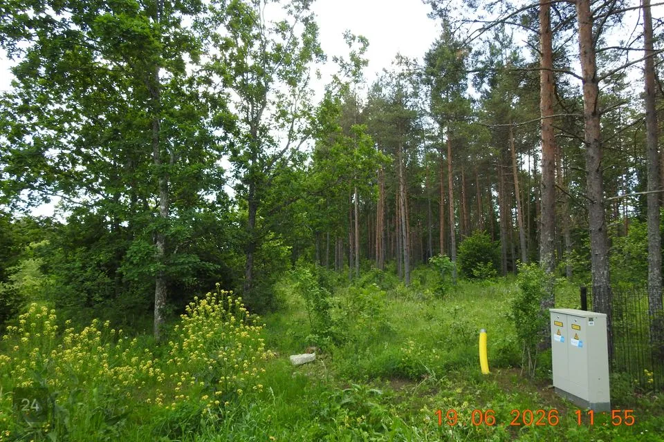 Maatulundusmaa, 11563 m² Maa  -  Kohila vald, Aandu küla