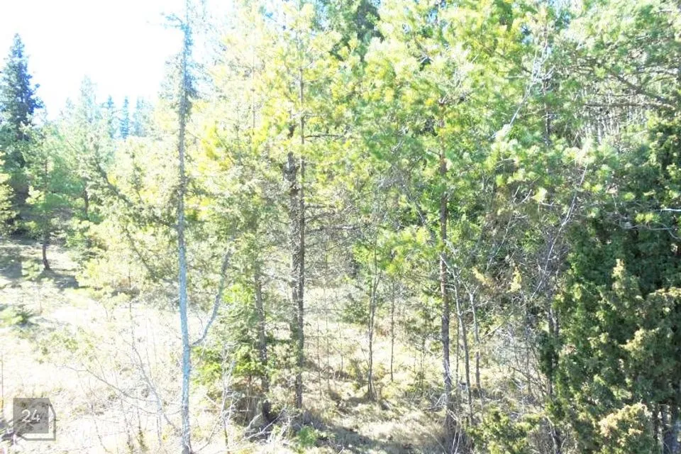 Elamumaa, 20020 m² Maa - Hiiumaa vald, Suuresadama küla - foto 4