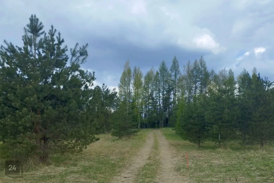 Maatulundusmaa, 6179 m² участок в Türi vald, Kolu küla - фото 3