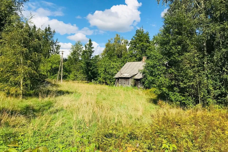 Maatulundusmaa, 37484 m² Maa  -  Türi vald, Rassi küla