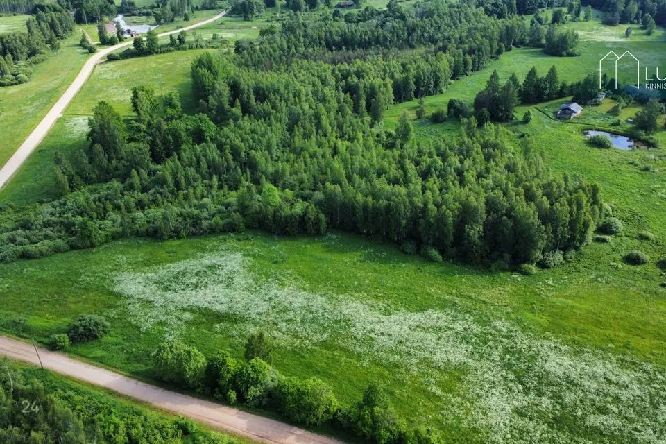 Земля жилой застройки, 21620 m² участок в Otepää vald, Kaurutootsi küla - фото 2