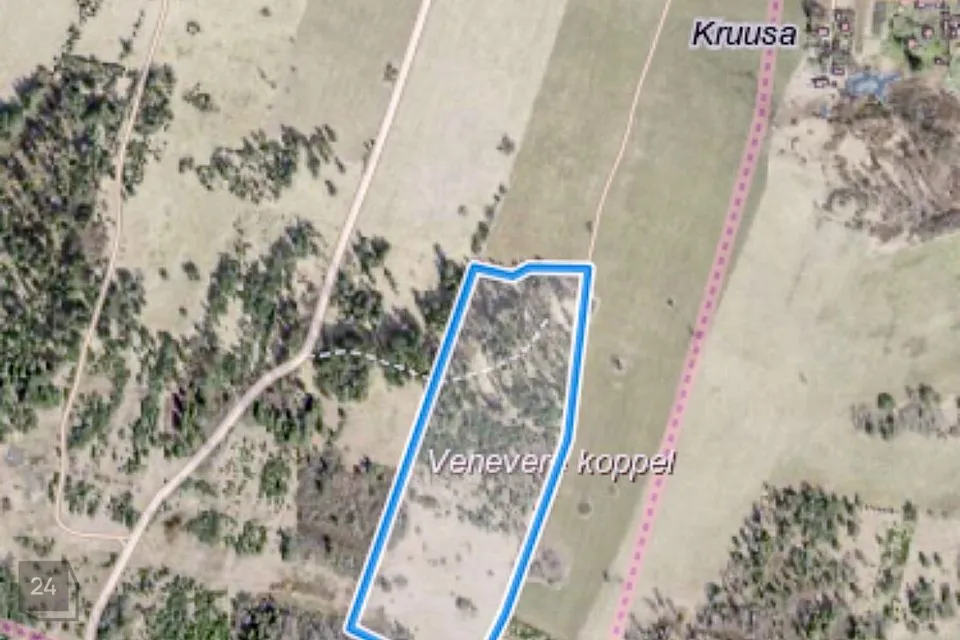 Maatulundusmaa, 69900 m² Maa - Haljala vald, Võhma küla