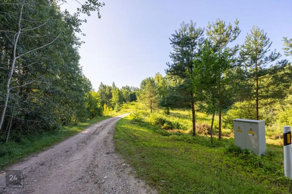 Maatulundusmaa, 57537 m² Maa  -  Võru vald, Koloreino küla - foto 2