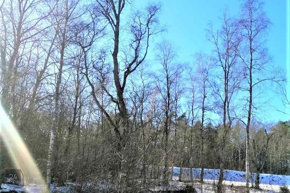 Maatulundusmaa, 7035 m² Maa - Jõelähtme vald, Kallavere küla - foto 4
