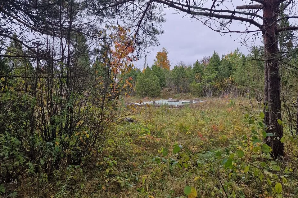 Residential land, 10901 m² land in Lääneranna vald, Rame küla - photo 2