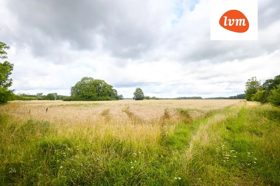 Maatulundusmaa, 30829 m² Maa - Saaremaa vald, Õha - foto 5