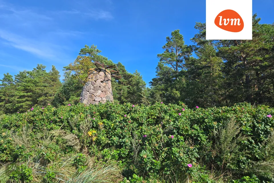 Maatulundusmaa, 5008 m² Maa - Lääne-Nigula vald, Telise küla / Tällnäs - foto 5