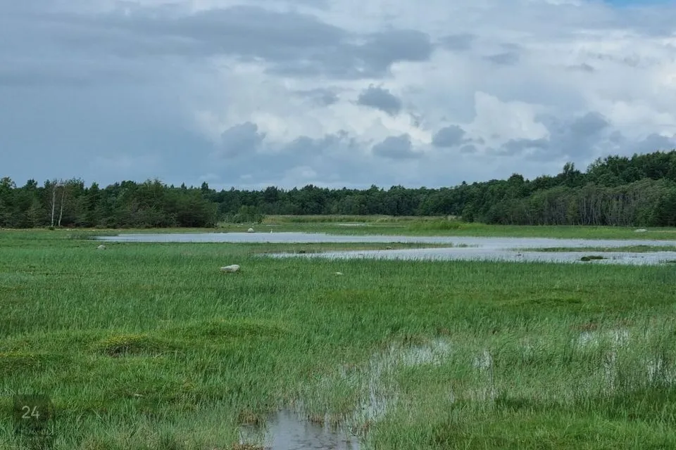 Maatulundusmaa, 62100 m² Maa - Lääneranna vald, Saulepi küla - foto 4