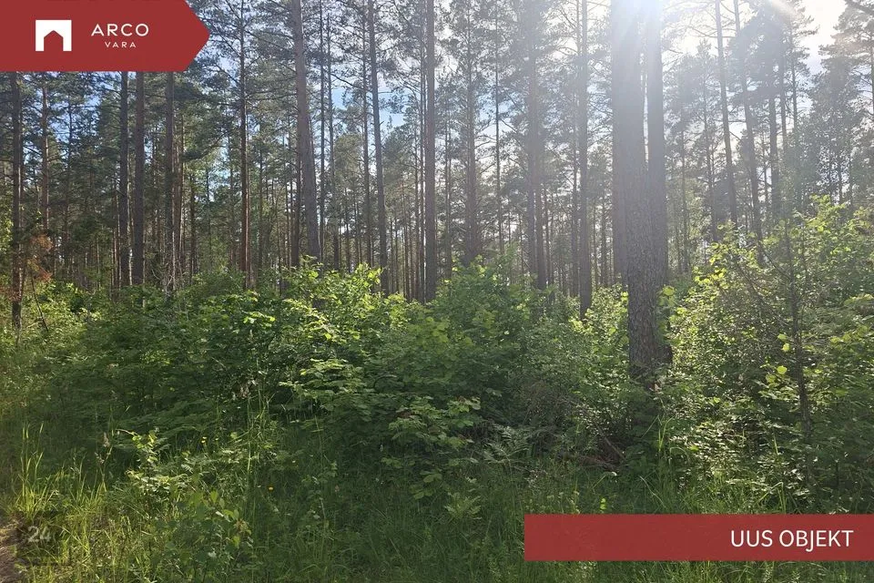 Maatulundusmaa, 25271 m² Maa  -  Saaremaa vald, Pulli küla - foto 4