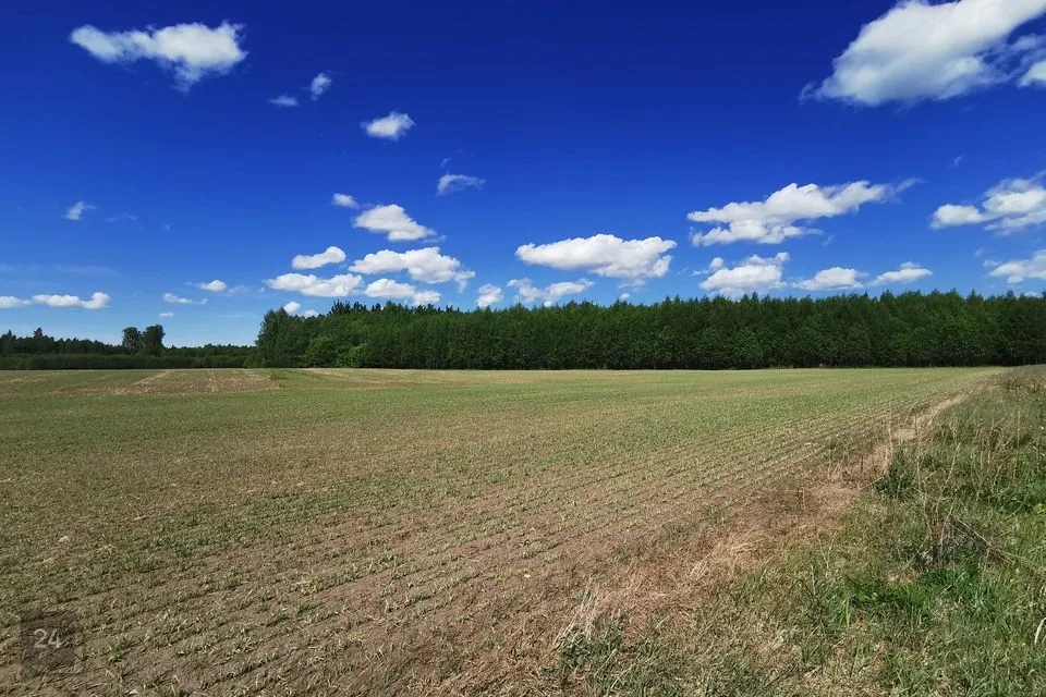 Maatulundusmaa, 22000 m² Maa - Kose vald, Paunküla - foto 2