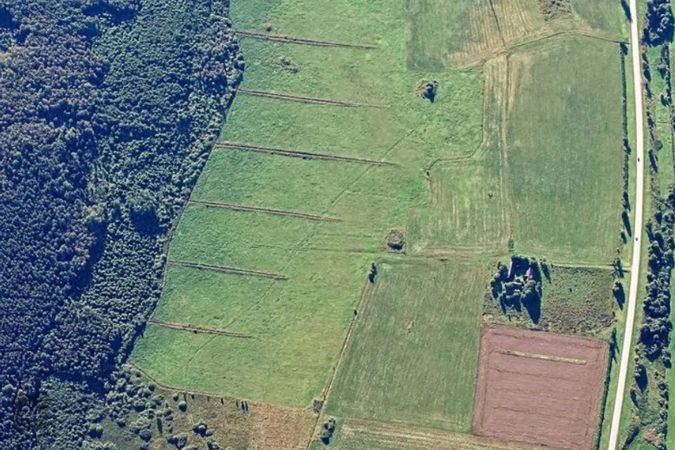 Maatulundusmaa, 628043 m² Maa  -  Viru-Nigula vald, Tüükri küla - foto 3