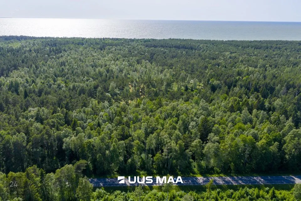 Maatulundusmaa, 5013 m² Maa  -  Lääne-Nigula vald, Elbiku küla / Ölbäck - foto 4