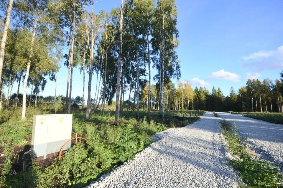 Elamumaa, 2946 m² Maa  -  Raasiku vald, Kurgla küla - foto 4
