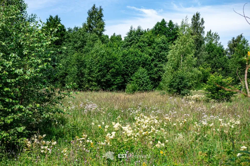Maatulundusmaa, 11194 m² Maa - Lääneranna vald, Rädi küla