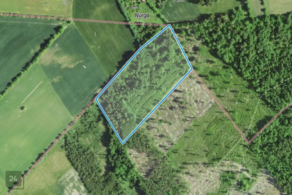 Maatulundusmaa, 49175 m² Maa  -  Saaremaa vald, Jõelepa küla