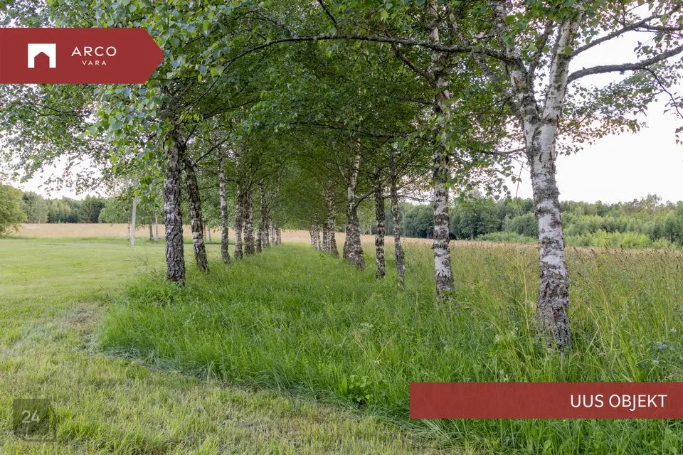 Maatulundusmaa, 24997 m² участок в Saue vald, Tuula küla