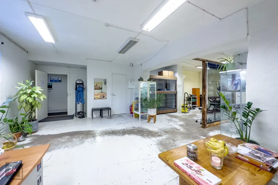 74 m² Бизнес-площадь в Tallinn, Nõmme linnaosa