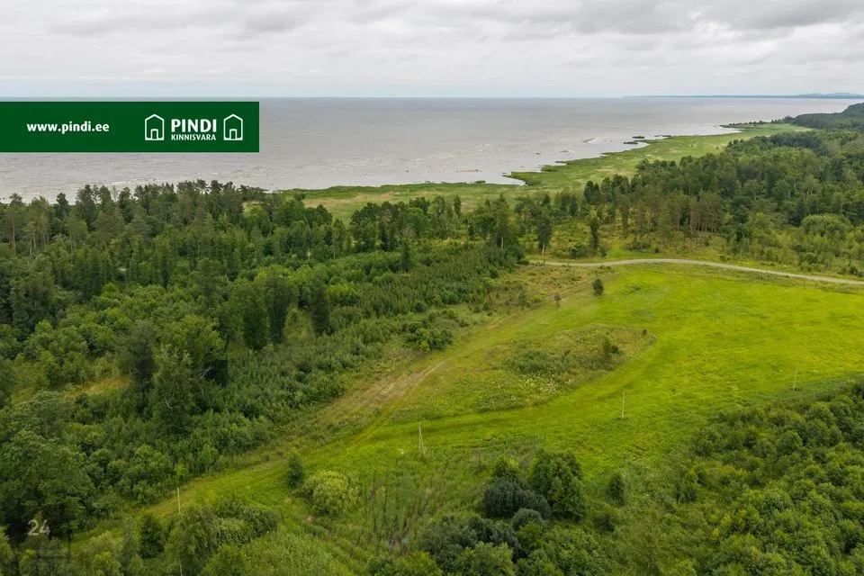 Maatulundusmaa, 3062 m² Maa - Viru-Nigula vald, Kalvi küla - foto 5
