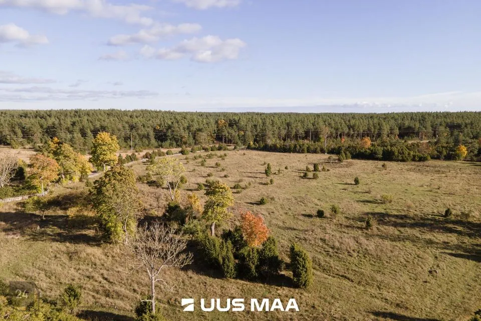 Maatulundusmaa, 34112 m² Maa - Saaremaa vald, Karida küla - foto 3