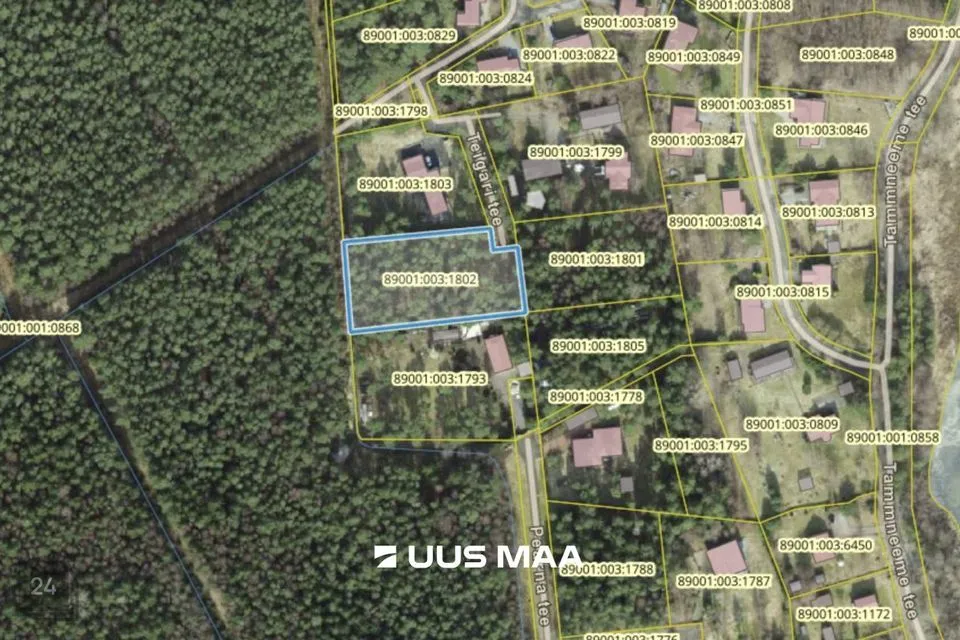 Elamumaa, 3516 m² Maa - Viimsi vald, Tammneeme küla - foto 4