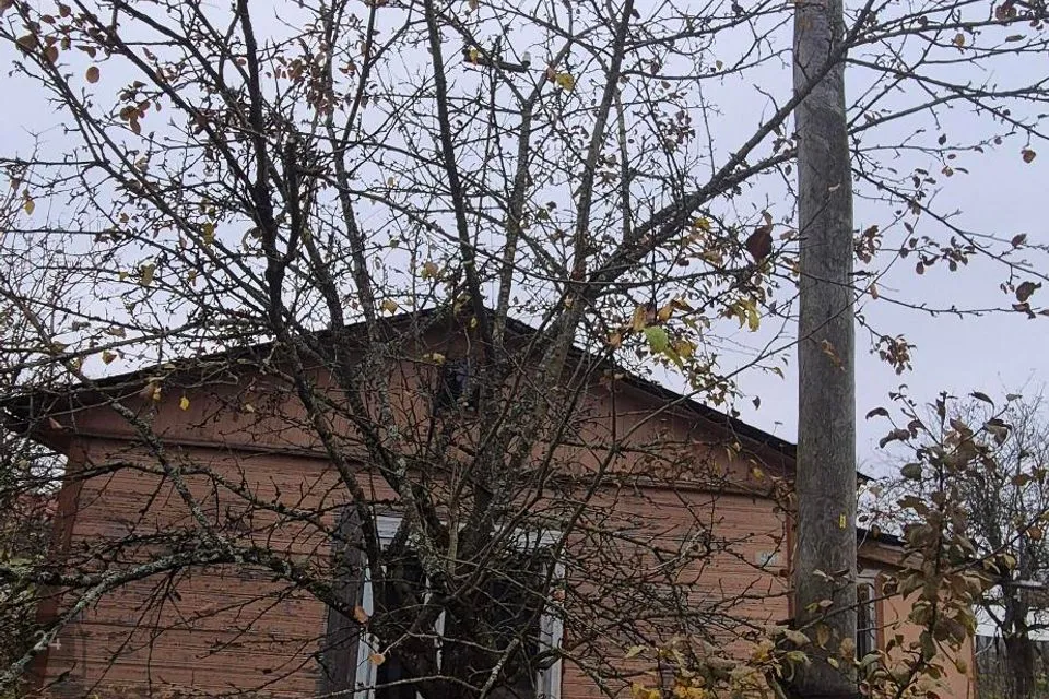 Elamumaa, 627 m² Maa  -  Narva-Jõesuu linn, Tõrvajõe küla - foto 3