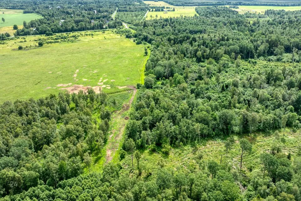 Maatulundusmaa, 3899 m² Maa  -  Kiili vald, Mõisaküla - foto 4