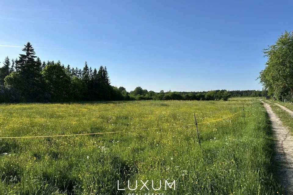 Elamumaa, 4705 m² Maa  -  Muhu vald, Paenase küla - foto 4