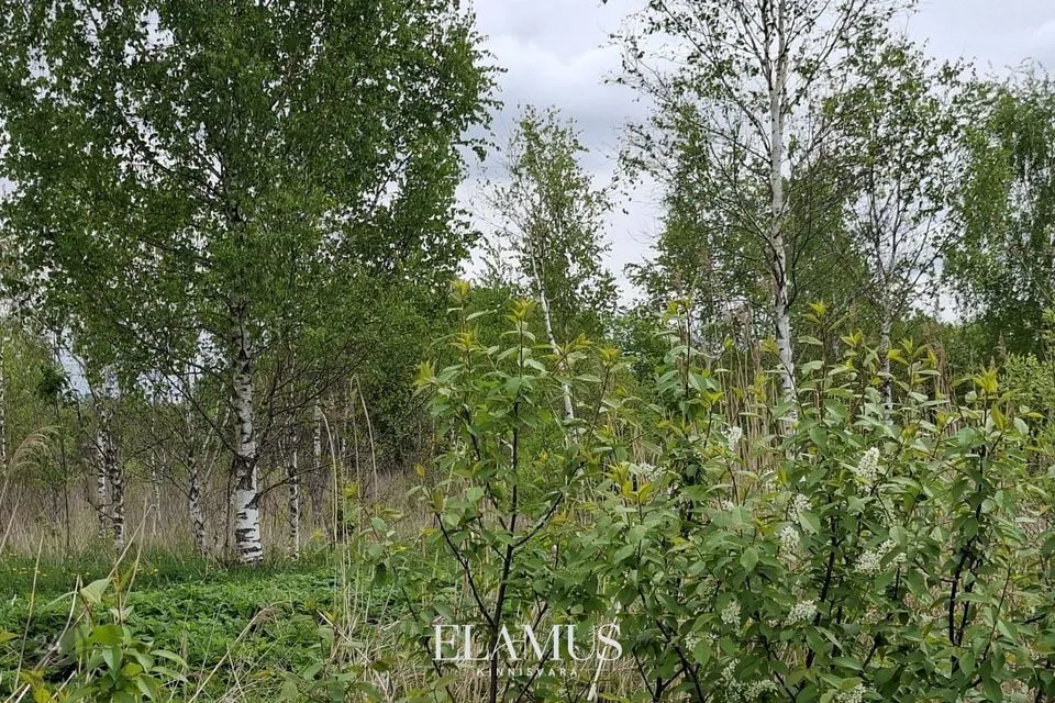 Maatulundusmaa, 5007 m² участок в Lääne-Nigula vald, Linnamäe küla
