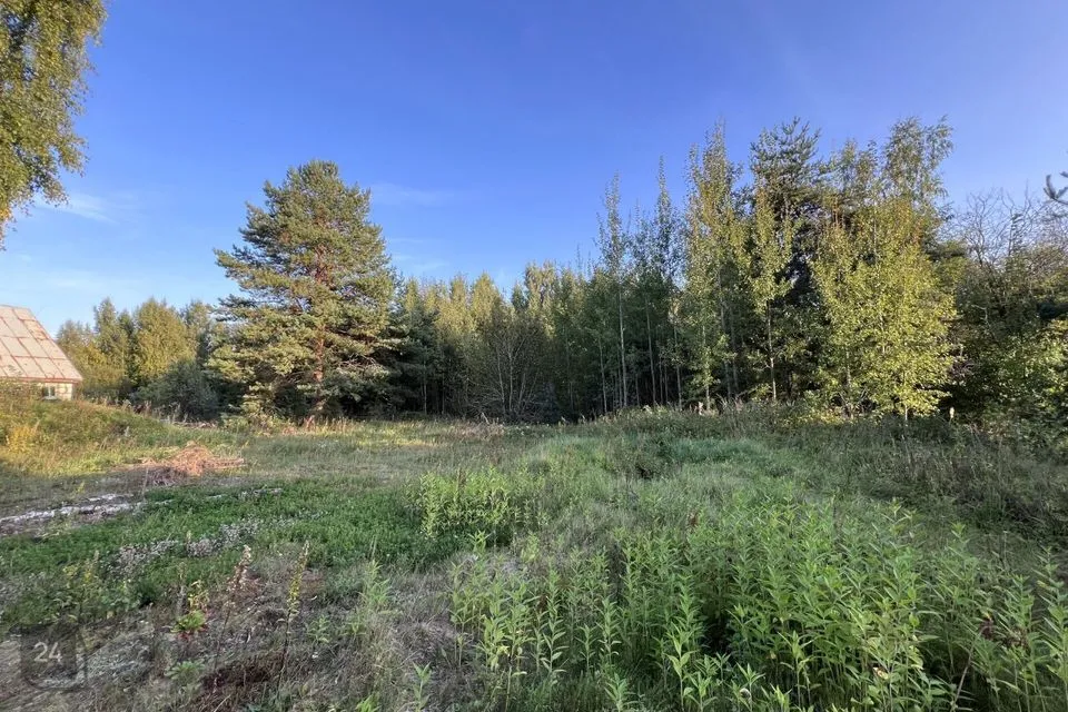 Elamumaa, 4322 m² Maa  -  Peipsiääre vald, Rootsiküla