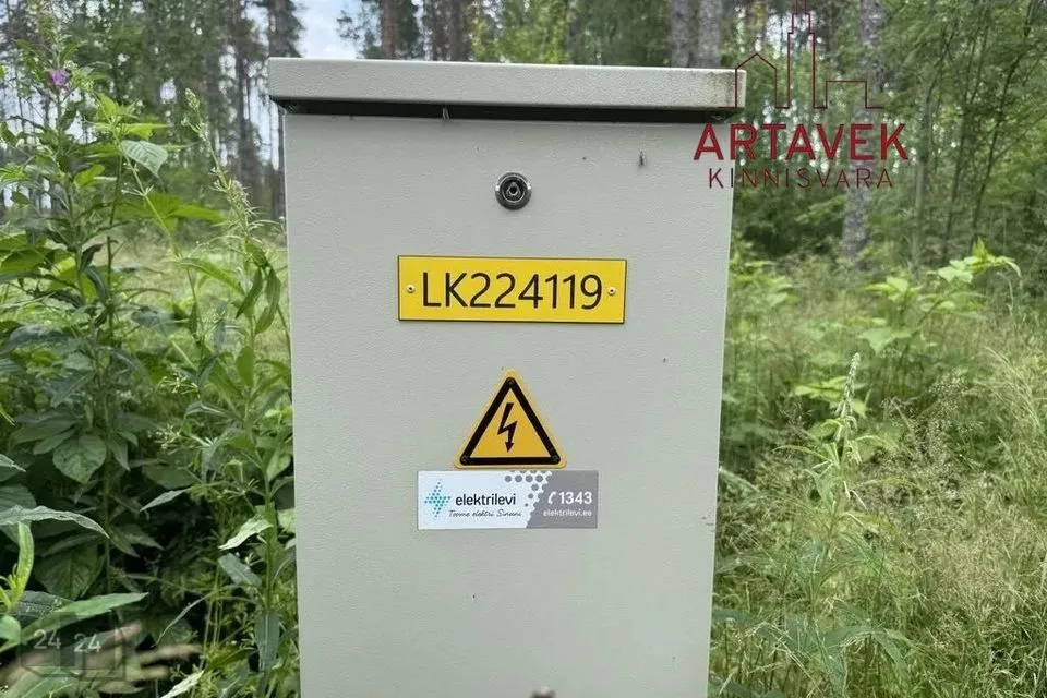 Maatulundusmaa, 8003 m² участок в Alutaguse vald, Katase küla - фото 4
