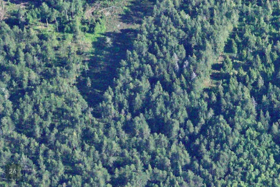 Maatulundusmaa, 20243 m² Maa  -  Lääne-Nigula vald, Höbringi küla / Höbring - foto 2