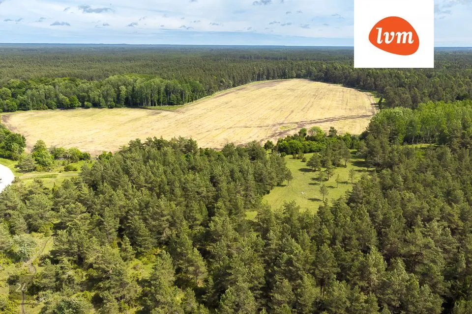 Maatulundusmaa, 25433 m² Maa - Saaremaa vald, Atla küla - foto 2