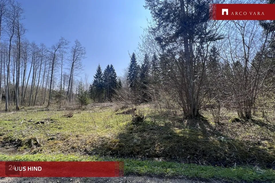 Земля жилой застройки, 17710 m² участок в Saaremaa vald, Kotlandi küla - фото 3