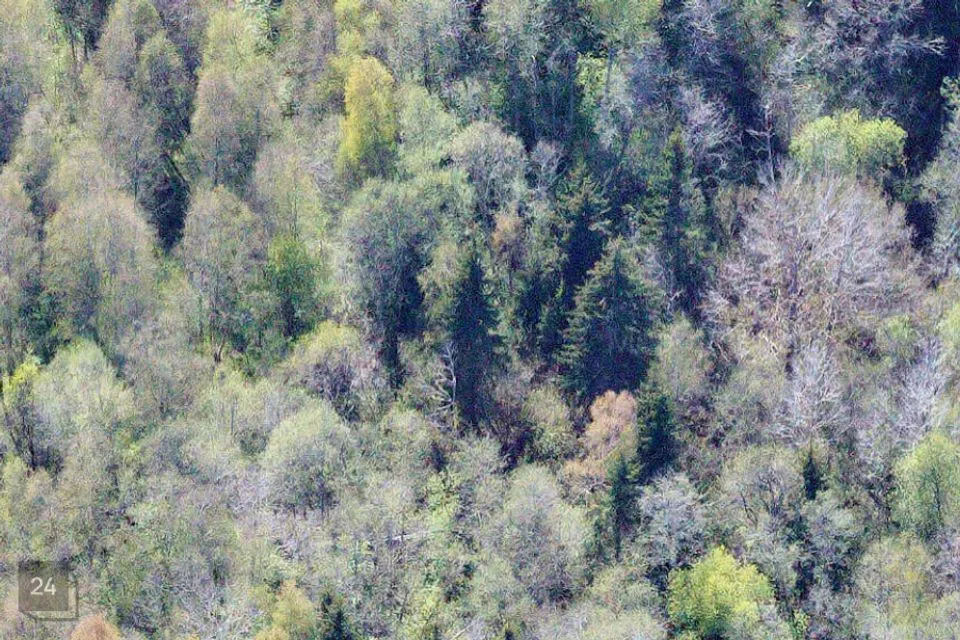 Maatulundusmaa, 40300 m² Maa  -  Lääne-Harju vald, Ohtu küla - foto 4