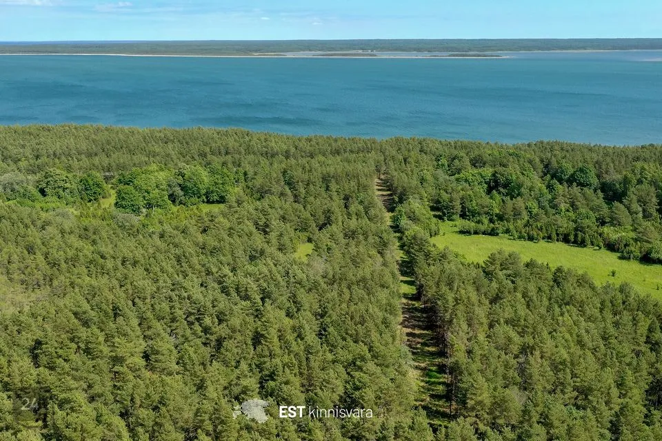 Maatulundusmaa, 67475 m² участок в Saaremaa vald, Ninase küla - фото 3
