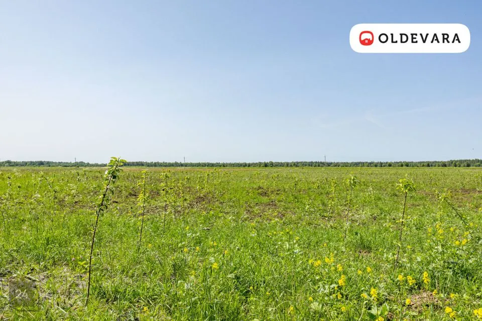 Maatulundusmaa, 39798 m² Maa  -  Saue vald, Tuula küla - foto 5