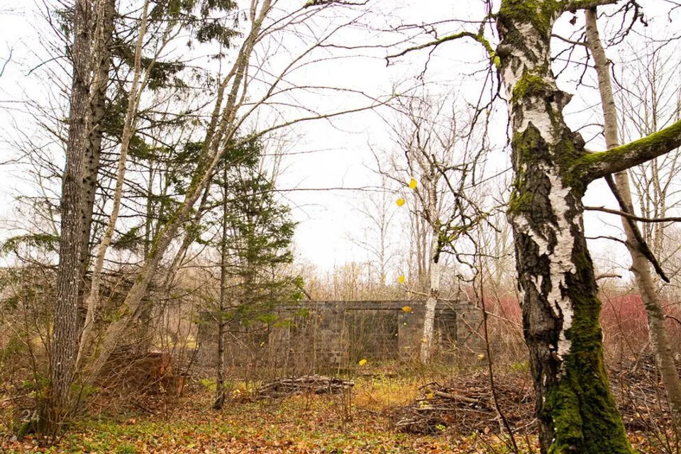 Elamumaa, 1633 m² Maa - Saaremaa vald, Leisi alevik - foto 4