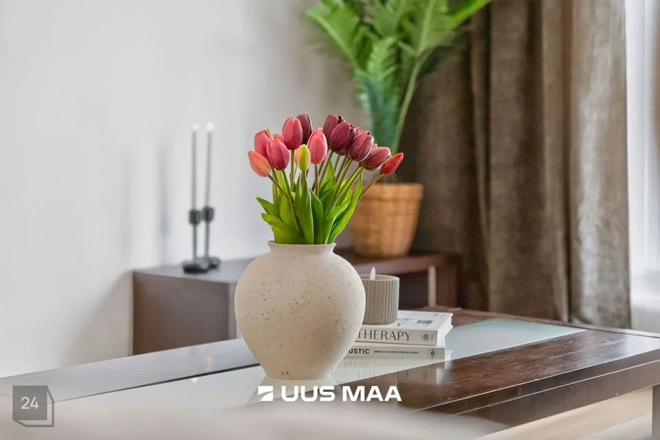 2-toaline Korter  -  Rae vald, Peetri alevik - foto 3