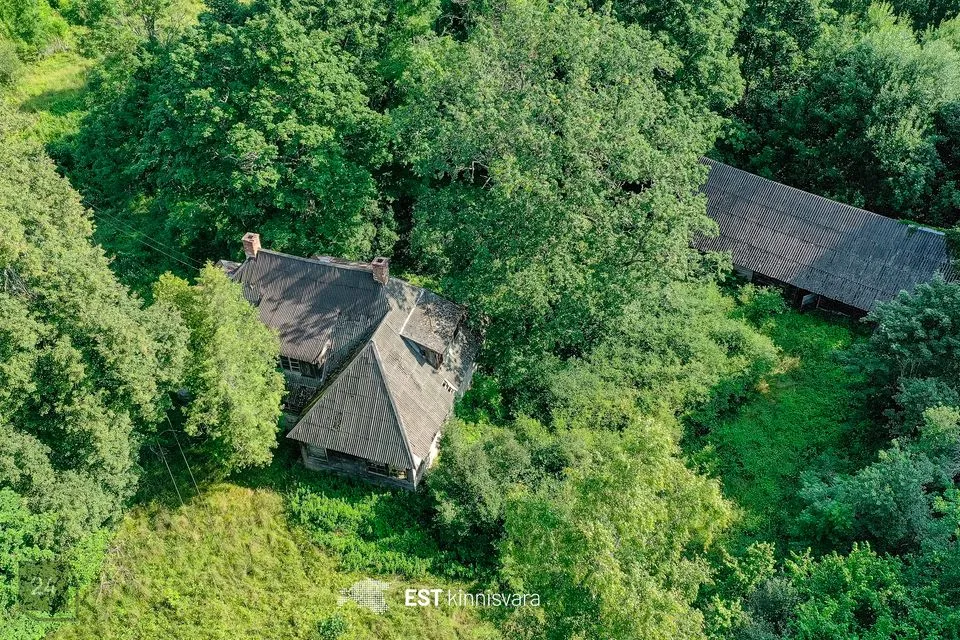 Elamumaa, 23344 m² Maa  -  Mulgi vald, Päidre küla - foto 3