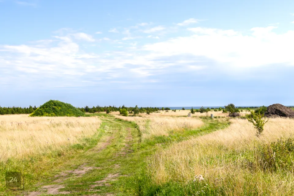 Elamumaa, 5944 m² Maa  -  Saaremaa vald, Suure-Rootsi küla - foto 4