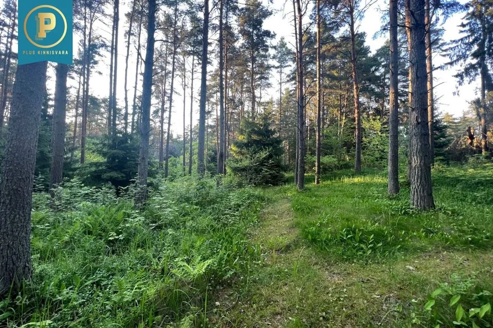 Maatulundusmaa, 1801 m² Maa - Tallinn, Pirita linnaosa - foto 3